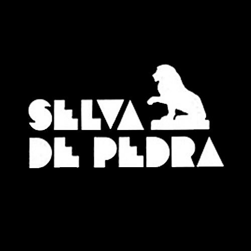 Selva de Pedra (1972-1973)